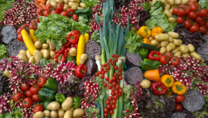 Kazakhstan increased exports of agricultural products