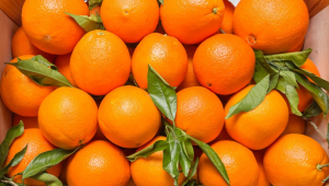 Imports of oranges to Uzbekistan rose by almost 36%