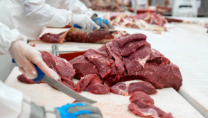 Yurt LLC will support investments in meat production in Georgia