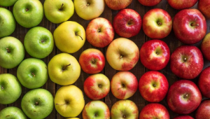 Export of apples from Georgia decreased